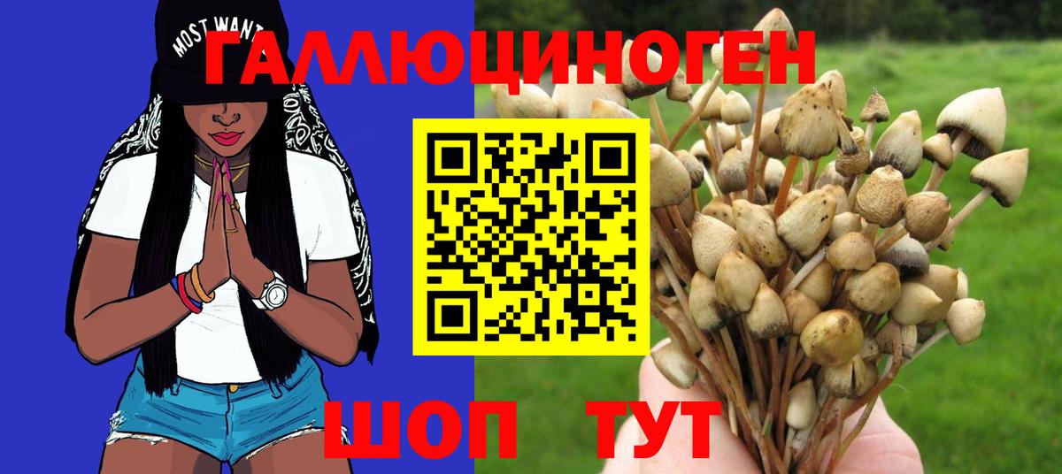 Псилоцибиновые грибы ЛСД Тельмана