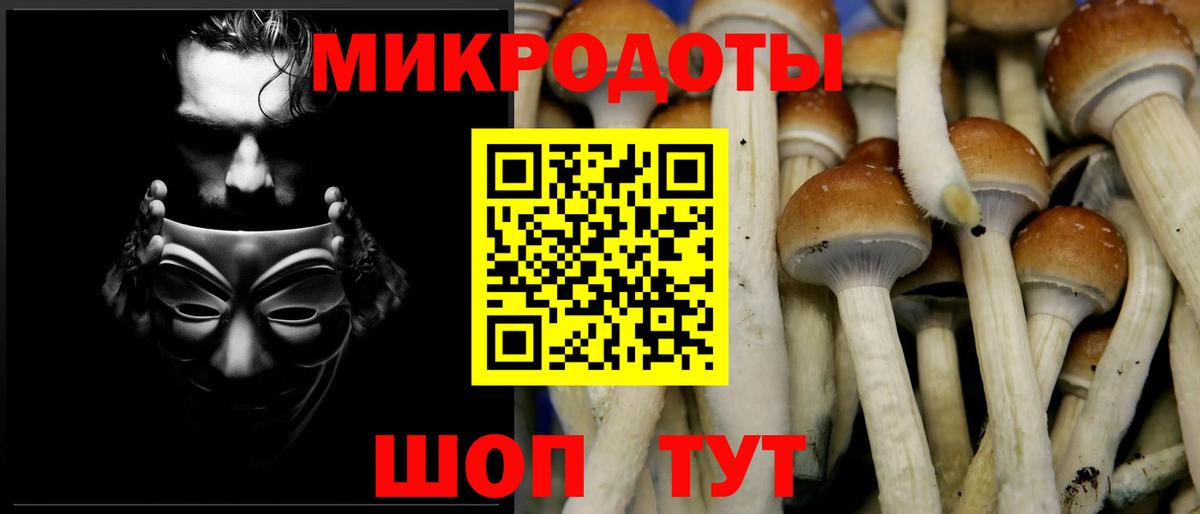 Псилоцибиновые грибы мицелий  Галлюциногенные грибы Psilocybe  Тельмана  Вход с VPN 